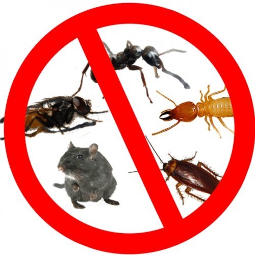 School District Integrated Pest Mgnt Plan